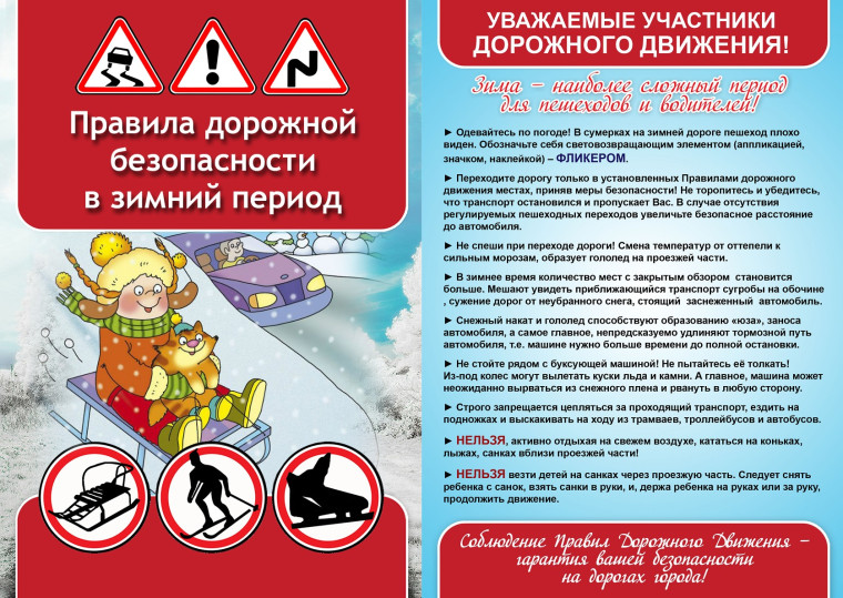 Профилактическое мероприятие "Безопасность на зимней дороге".